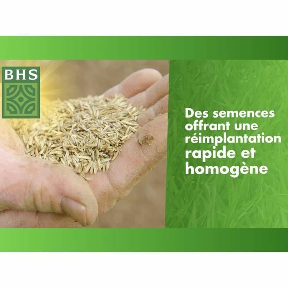 Semillas BHS 3 Kg