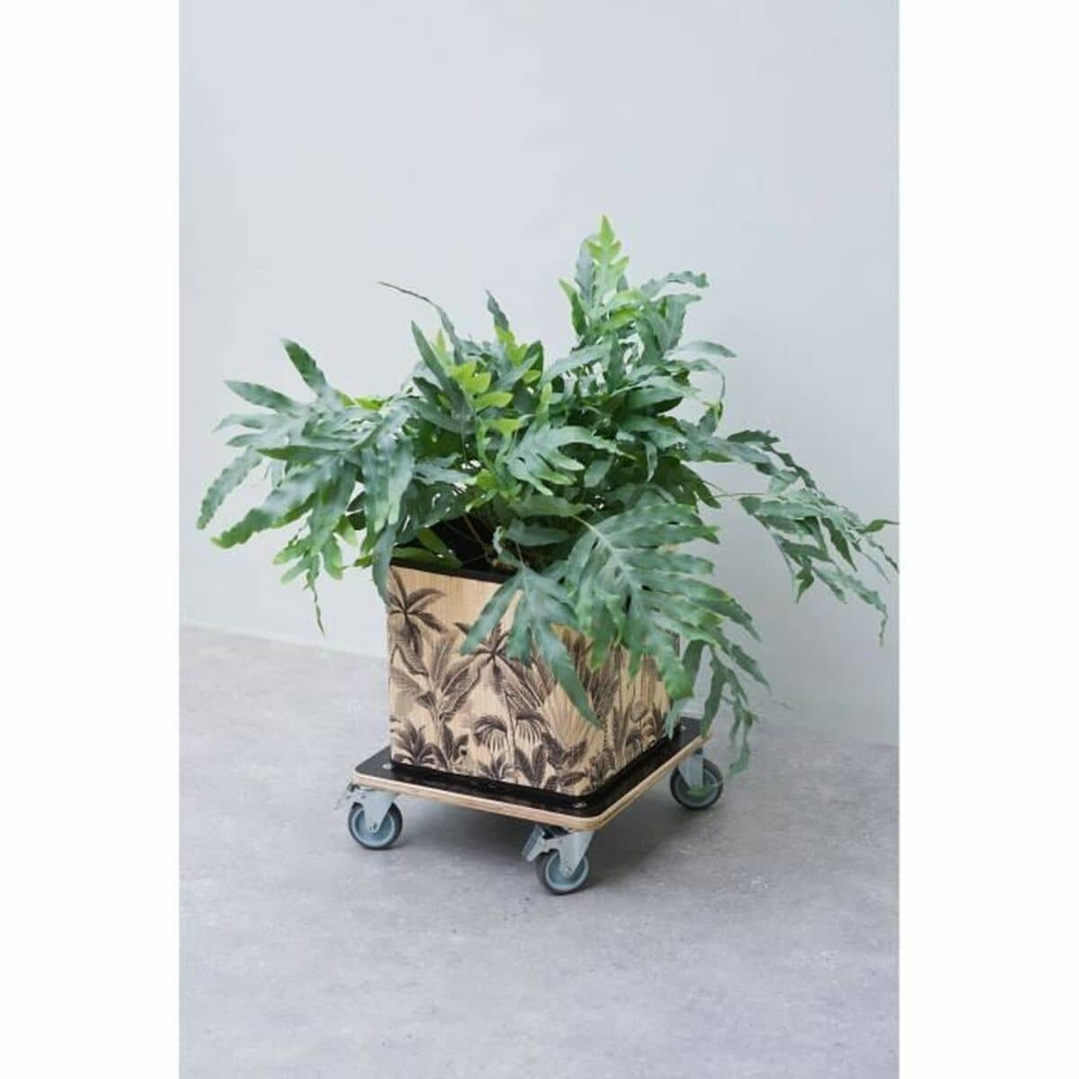 Soporte con Ruedas para Macetas Nature Negro Madera 38 x 38 cm
