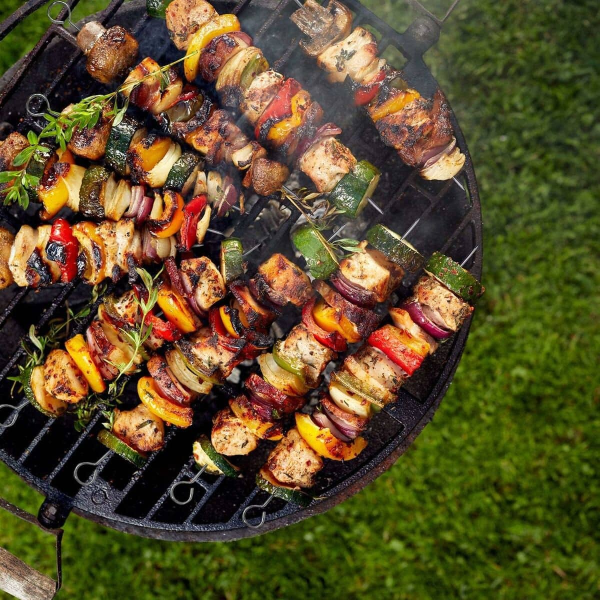 Set de Pinchos para Barbacoa Algon Metal 25 cm 12 Piezas (24 Unidades)