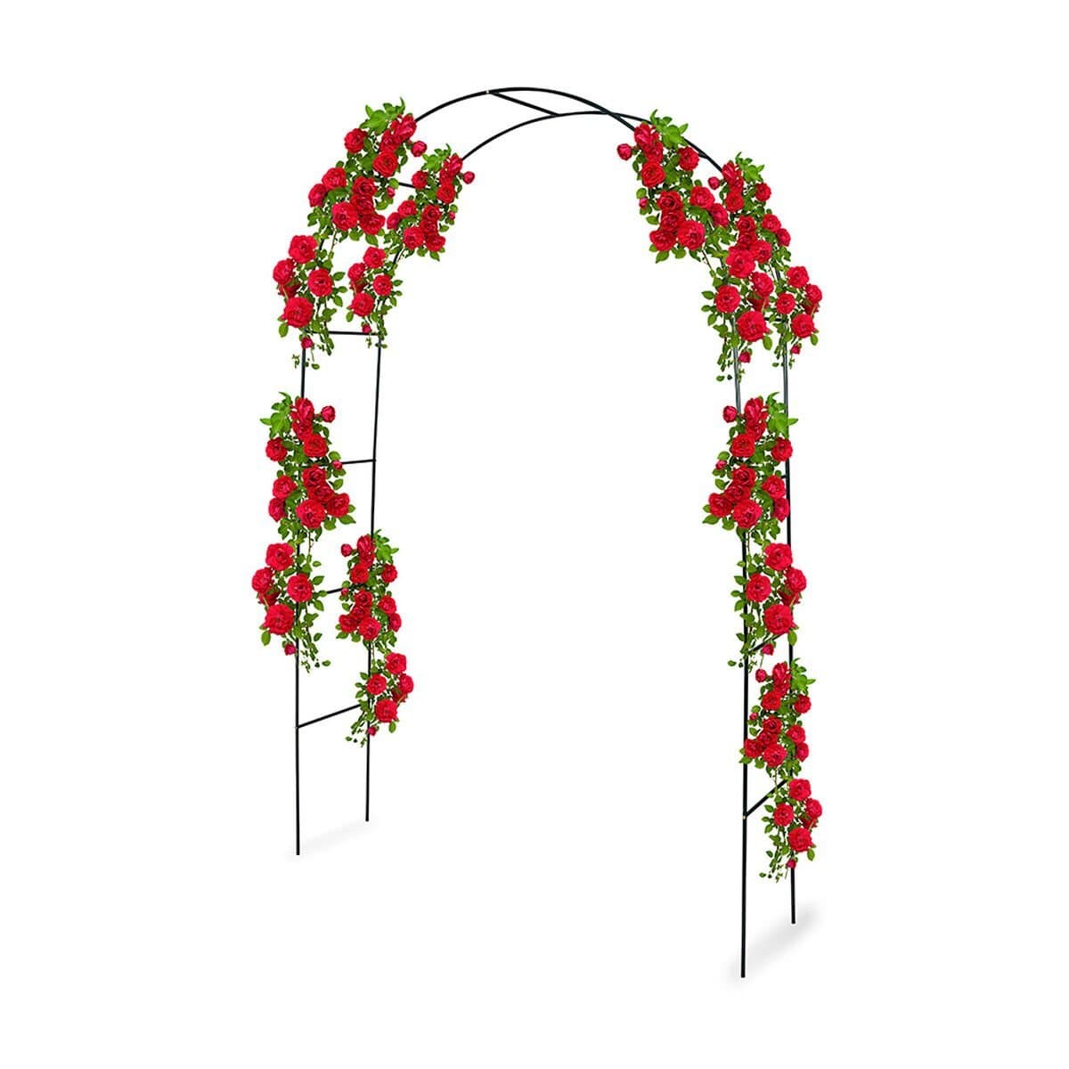 Arco de Jardín Kinzo 240 x 140 cm Metal Rosas