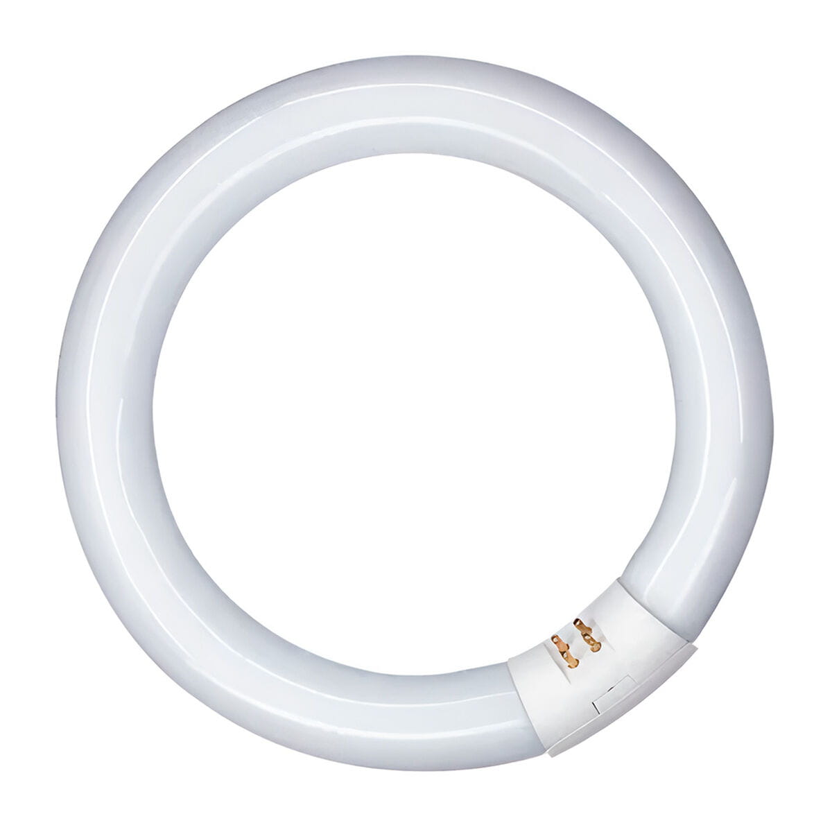 Tubo fluorescente Patron 20 W G10Q (6400 K)