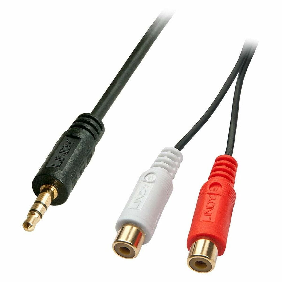 Cable Audio Jack a RCA LINDY