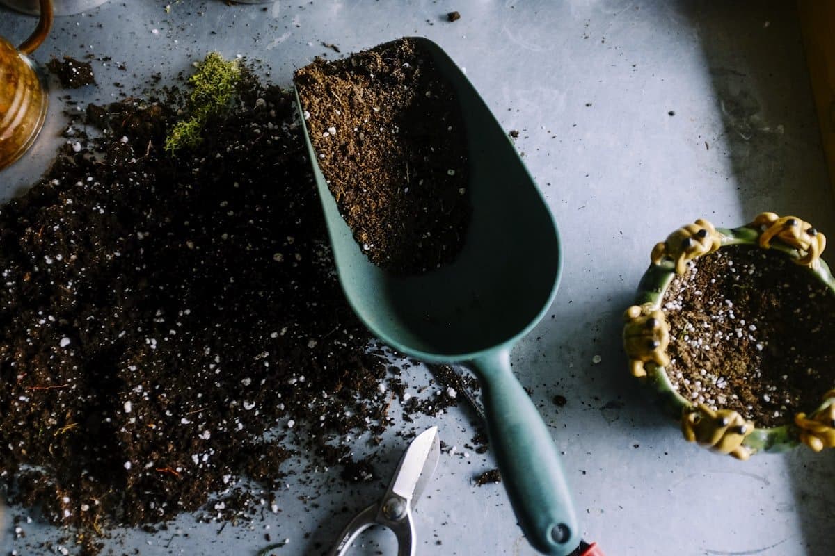 Todo lo que necesitas para un jardín perfecto sin ser experto